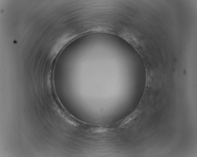 X0000077390098200611032011