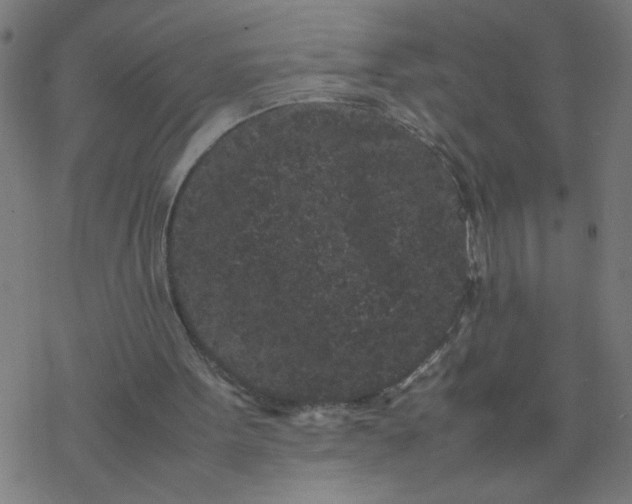 X0000077390099200611032011