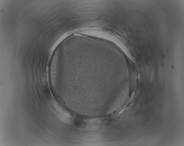 X0000077390100200611032011