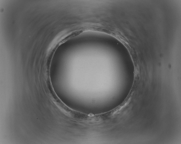 X0000077390101200611032011