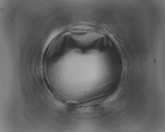 X0000077390102200611032011