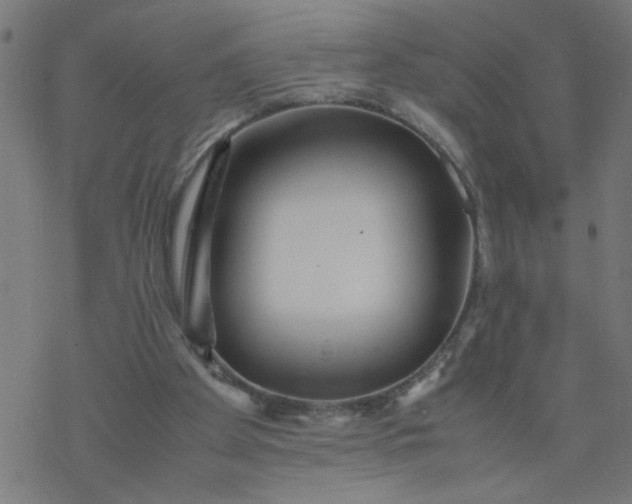 X0000077390105200611032011