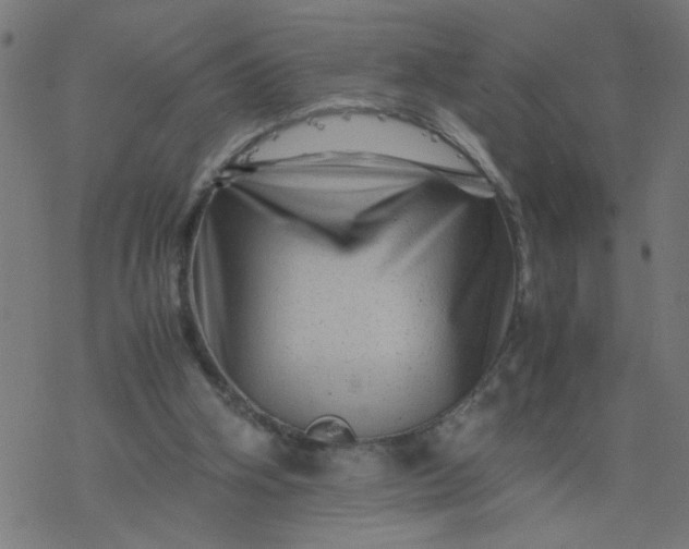 X0000077390106200611032011