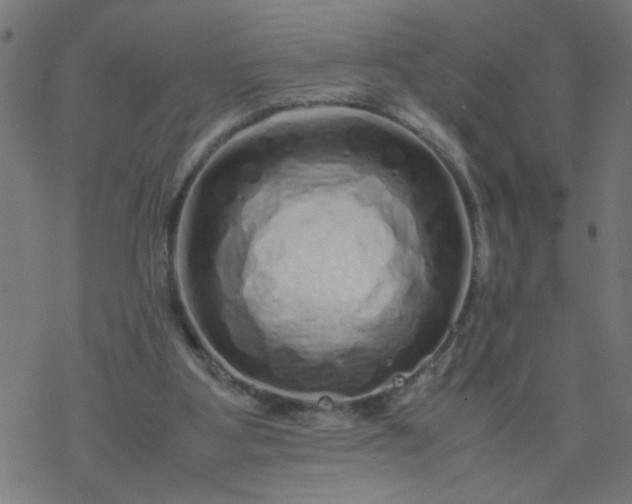 X0000077390107200611032011