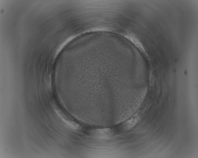 X0000077390108200611032011