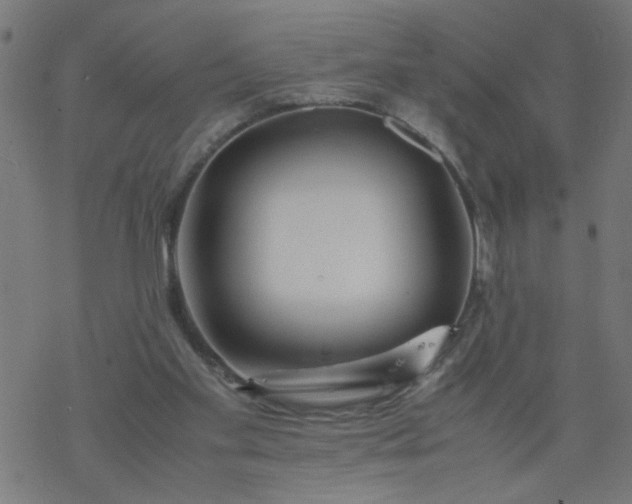 X0000077390109200611032011