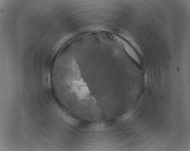 X0000077390110200611032011