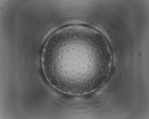 X0000077390111200611032011