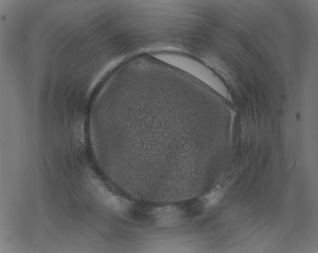 X0000077390112200611032011