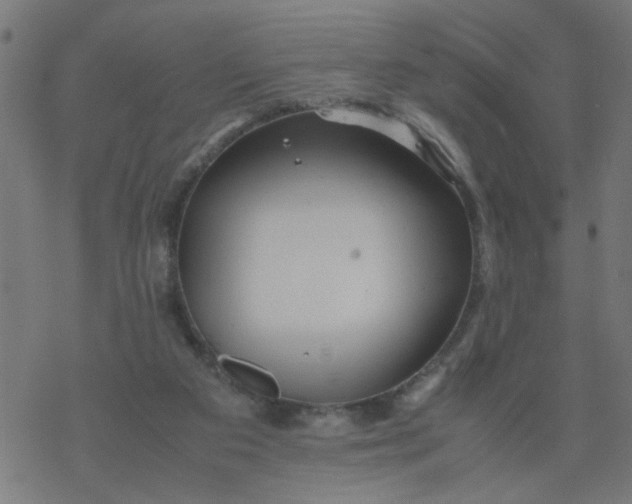 X0000077390113200611032011