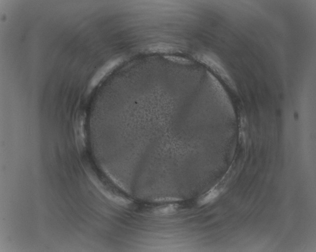 X0000077390116200611032011