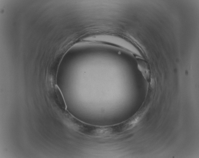 X0000077390117200611032011