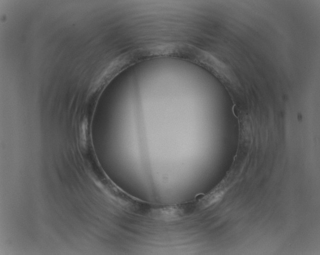 X0000077390118200611032011