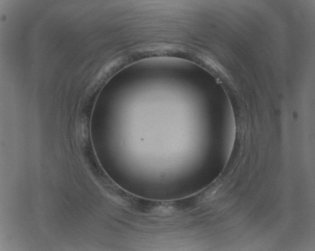 X0000077390119200611032011