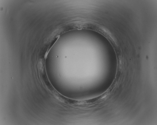 X0000077390121200611032011