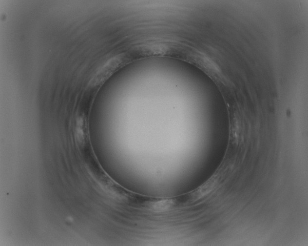 X0000077390122200611032011