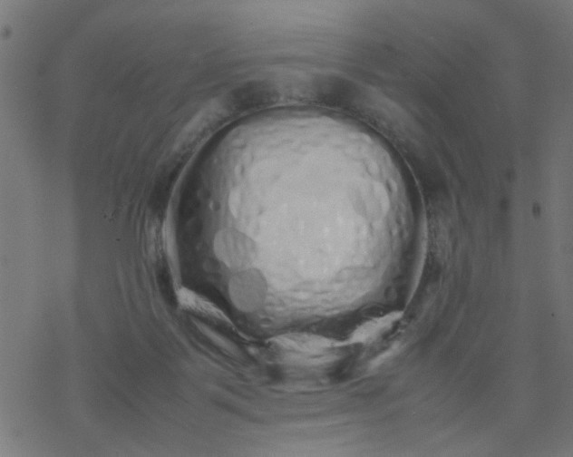 X0000077390123200611032011