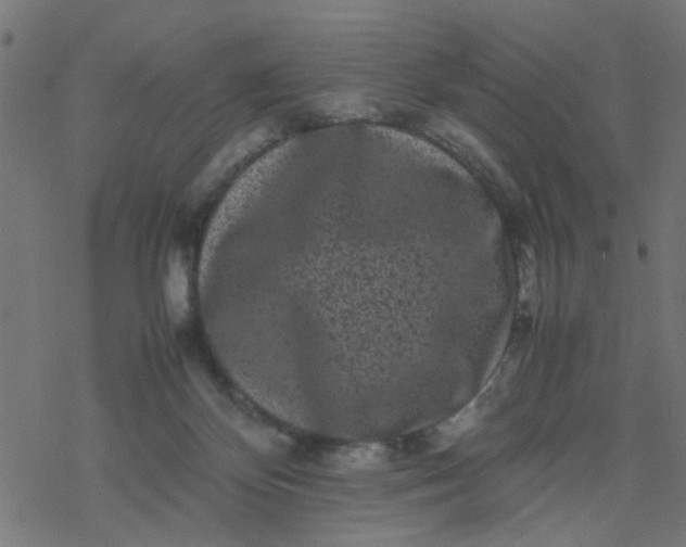 X0000077390124200611032011