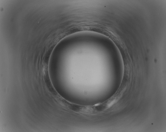 X0000077390125200611032011