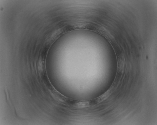 X0000077390126200611032011