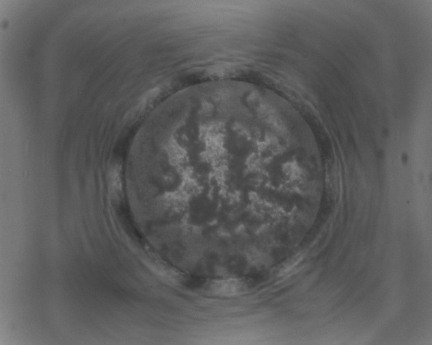 X0000077390127200611032011