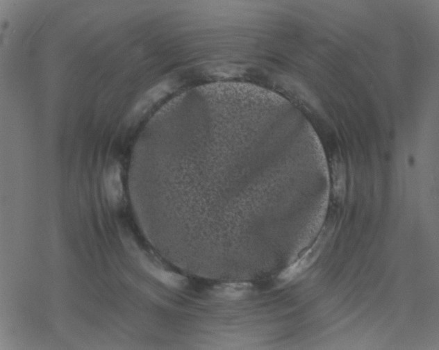 X0000077390128200611032011