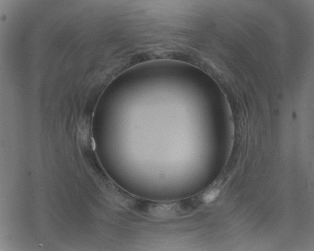 X0000077390129200611032011