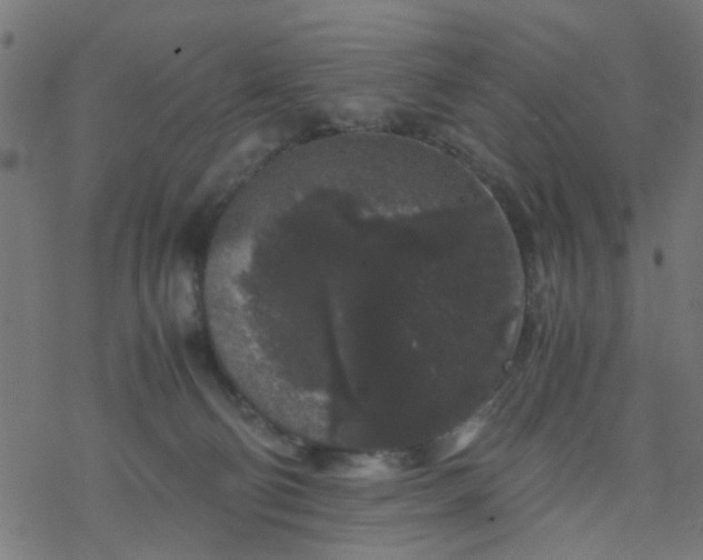 X0000077390130200611032011