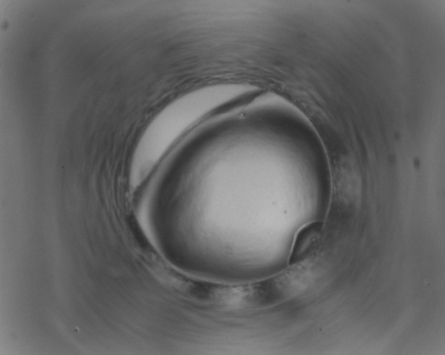 X0000077390131200611032011