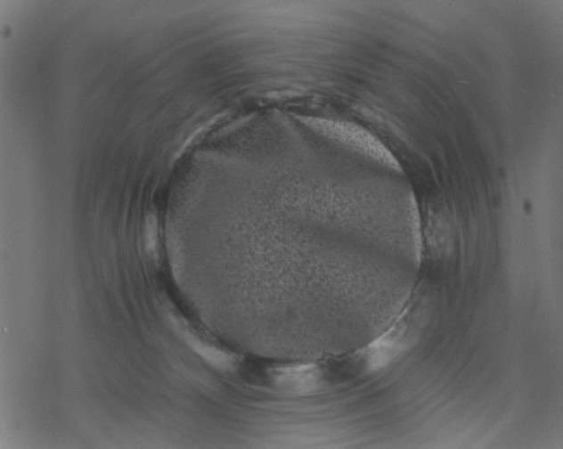 X0000077390132200611032011