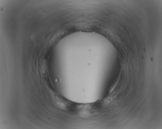 X0000077390133200611032011