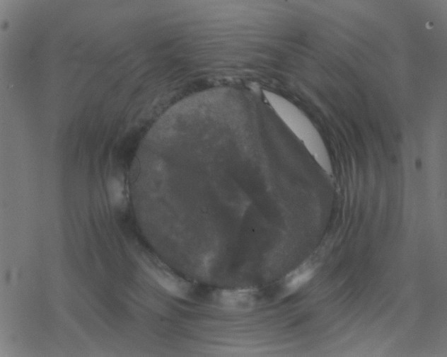 X0000077390134200611032011