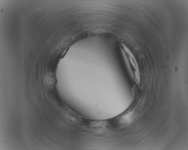 X0000077390135200611032011