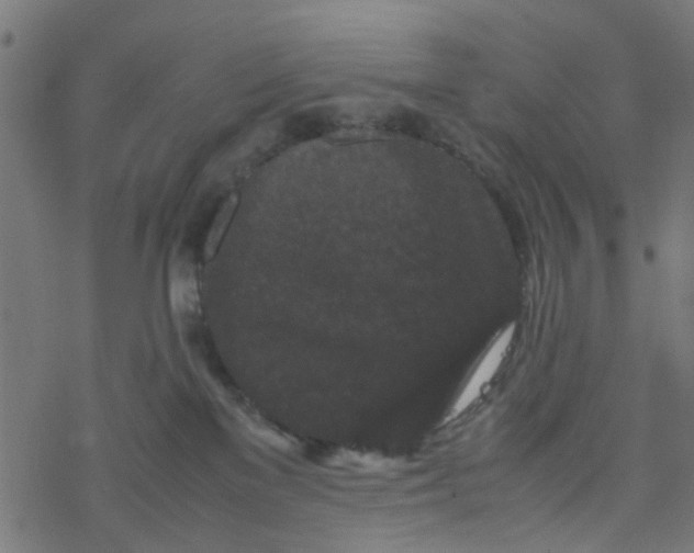 X0000077390137200611032011