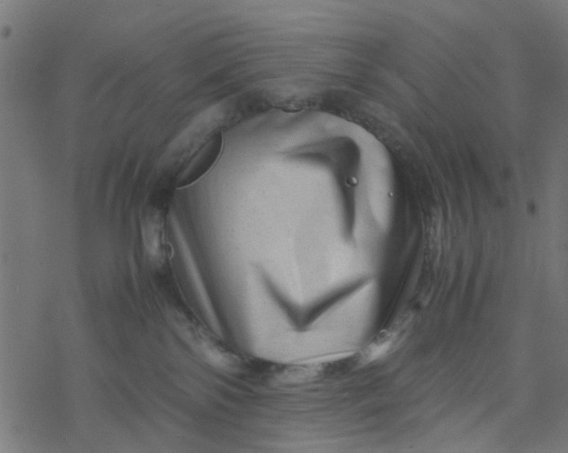 X0000077390138200611032011