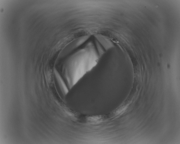 X0000077390139200611032011