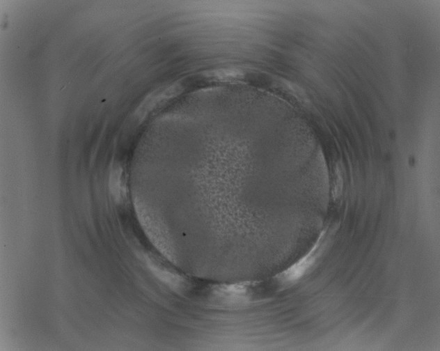 X0000077390140200611032011