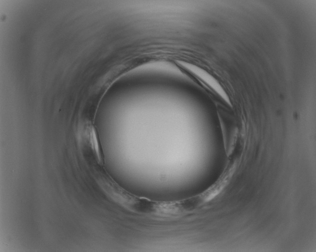 X0000077390141200611032011