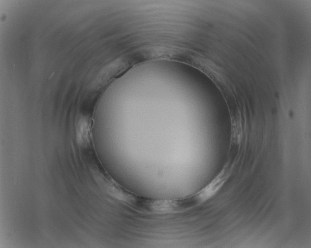 X0000077390142200611032011