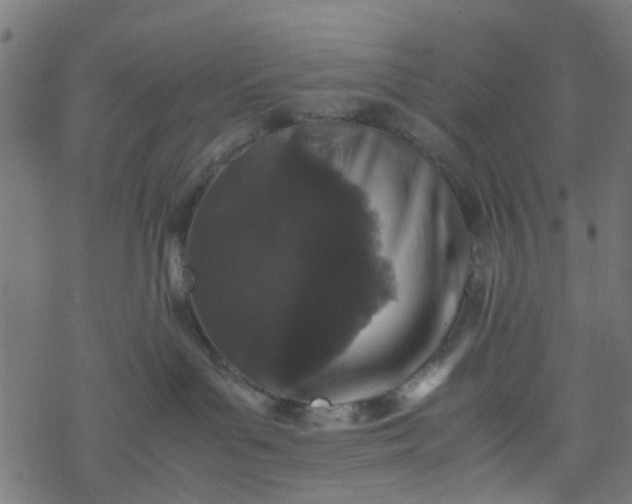 X0000077390143200611032011