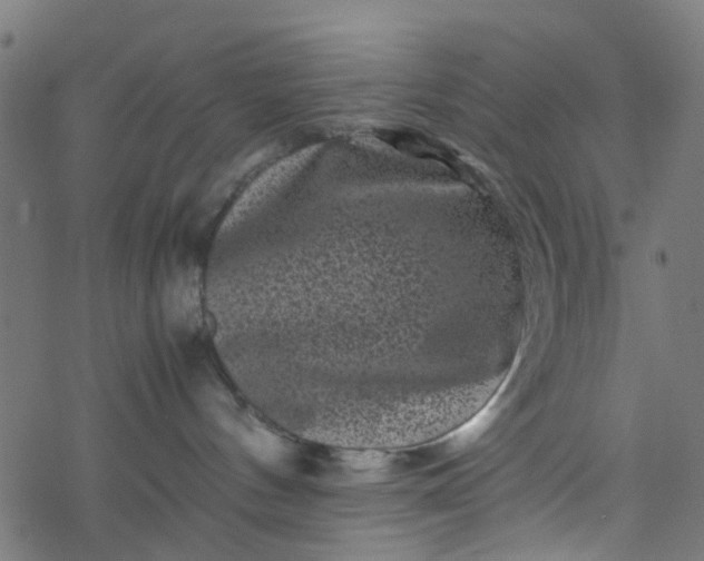 X0000077390144200611032011