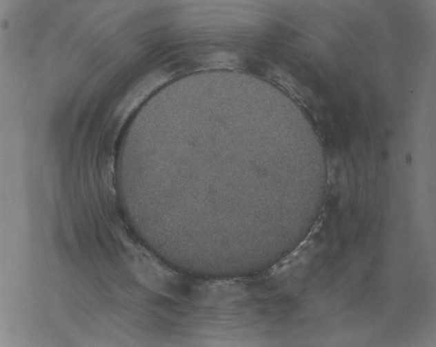 X0000077390146200611032010