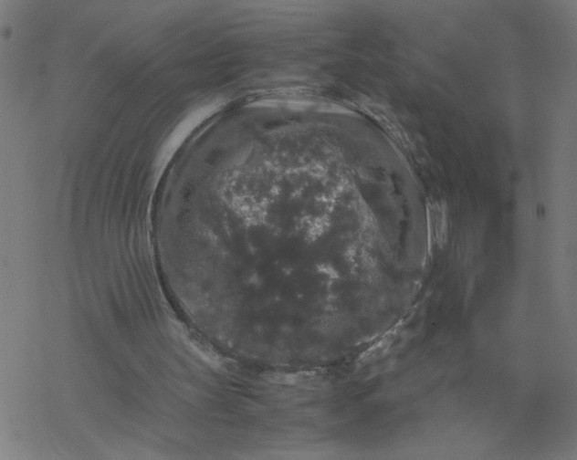 X0000077390147200611032010