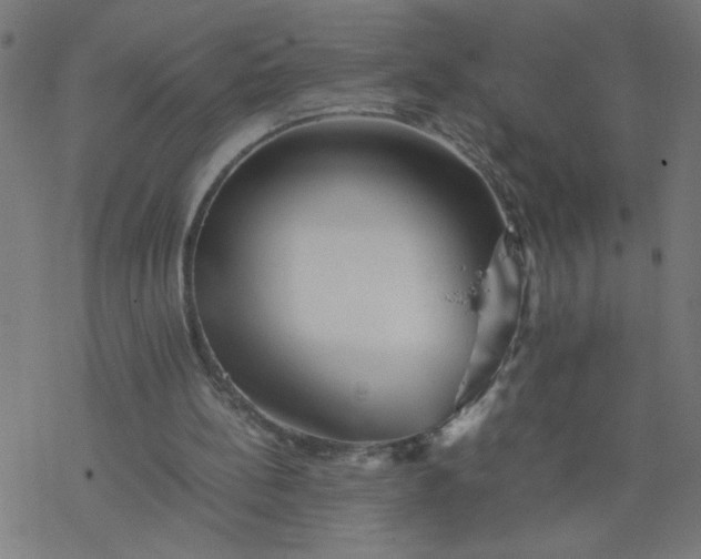 X0000077390148200611032010