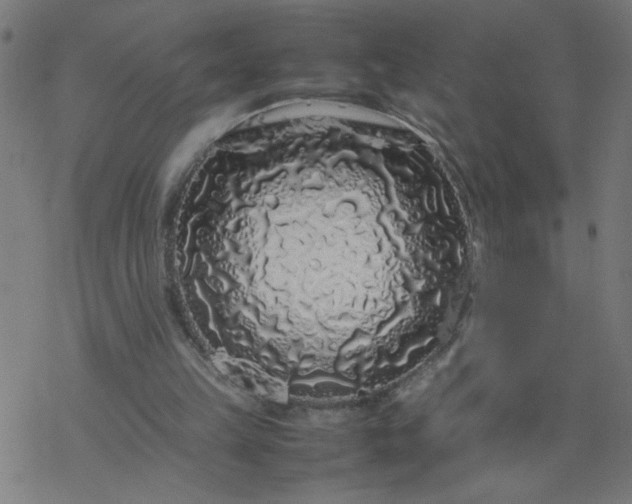 X0000077390149200611032010