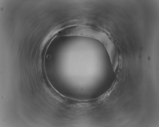 X0000077390150200611032010