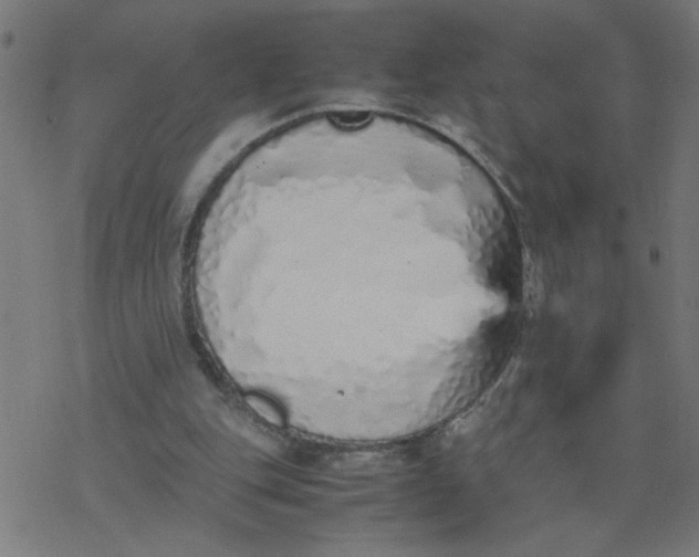 X0000077390151200611032010