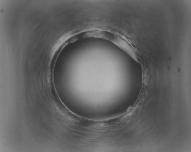 X0000077390152200611032010