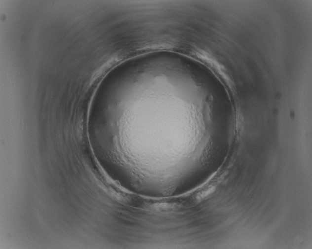 X0000077390153200611032010