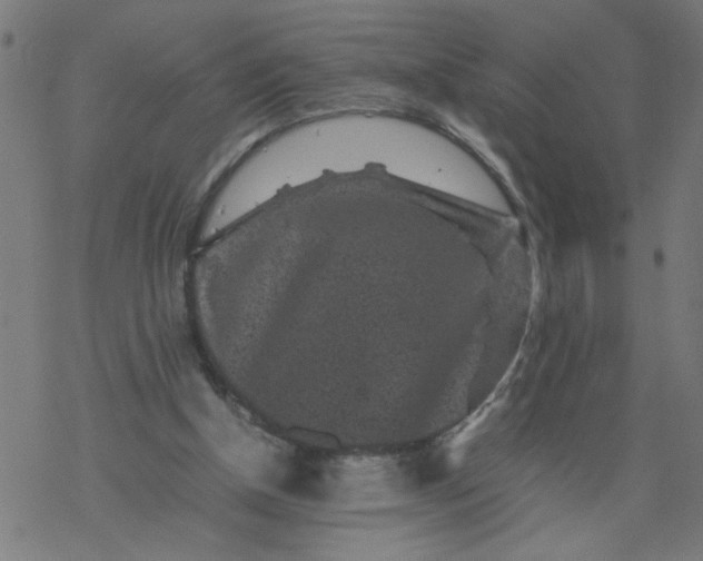 X0000077390154200611032010